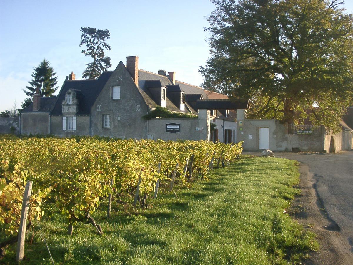Au Clos De L'Epinay Vouvray Εξωτερικό φωτογραφία